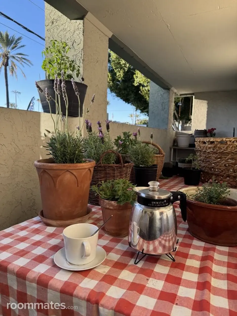 Profile photo 3 of 4