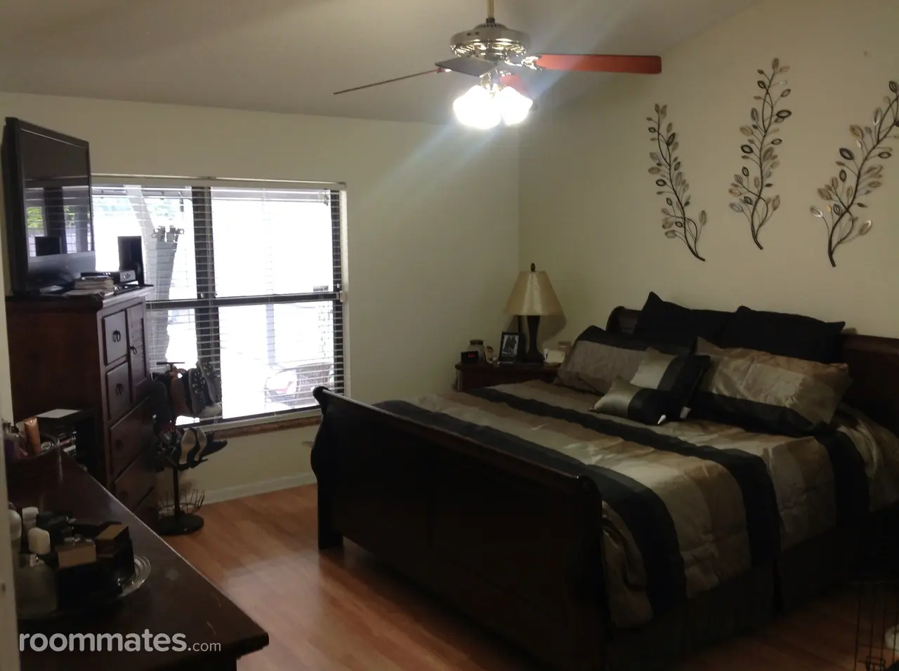 Profile photo 1 of 13