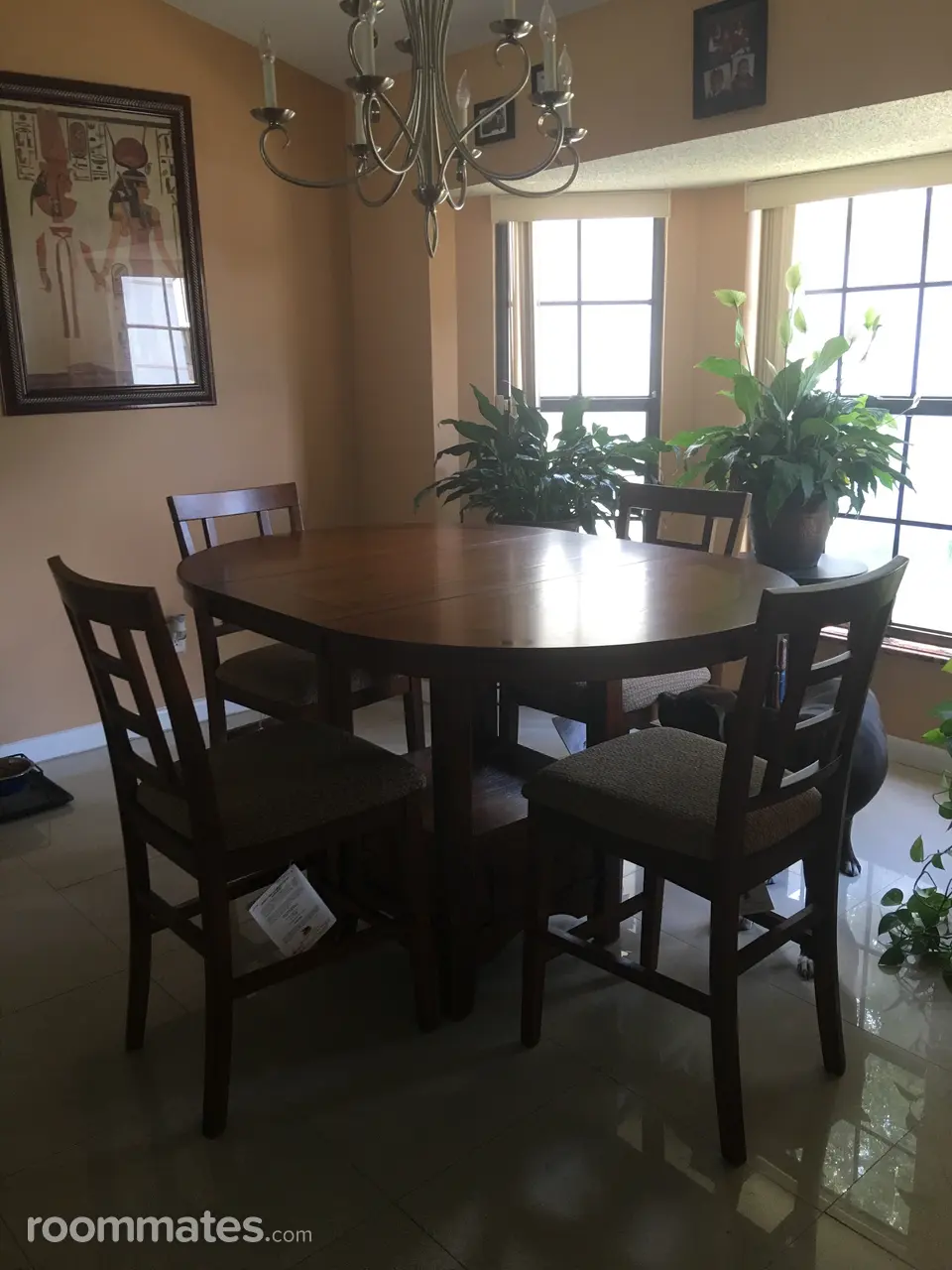 Profile photo 3 of 13