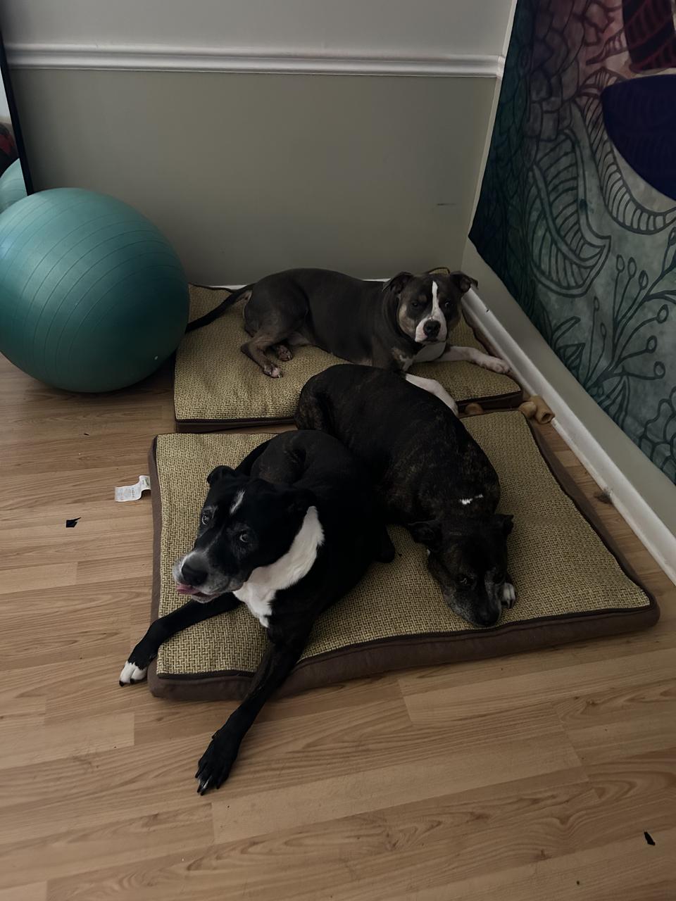 Profile photo 9 of 13