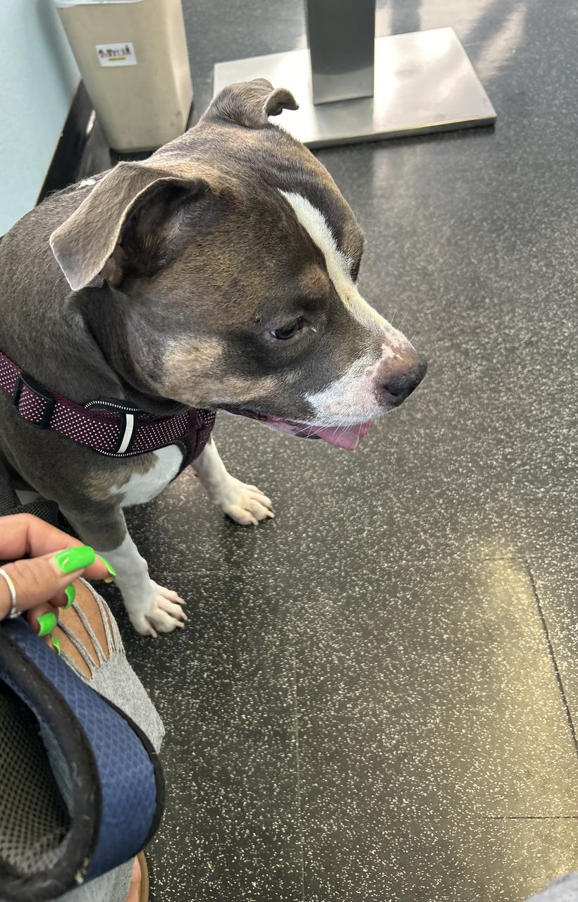 Profile photo 13 of 13