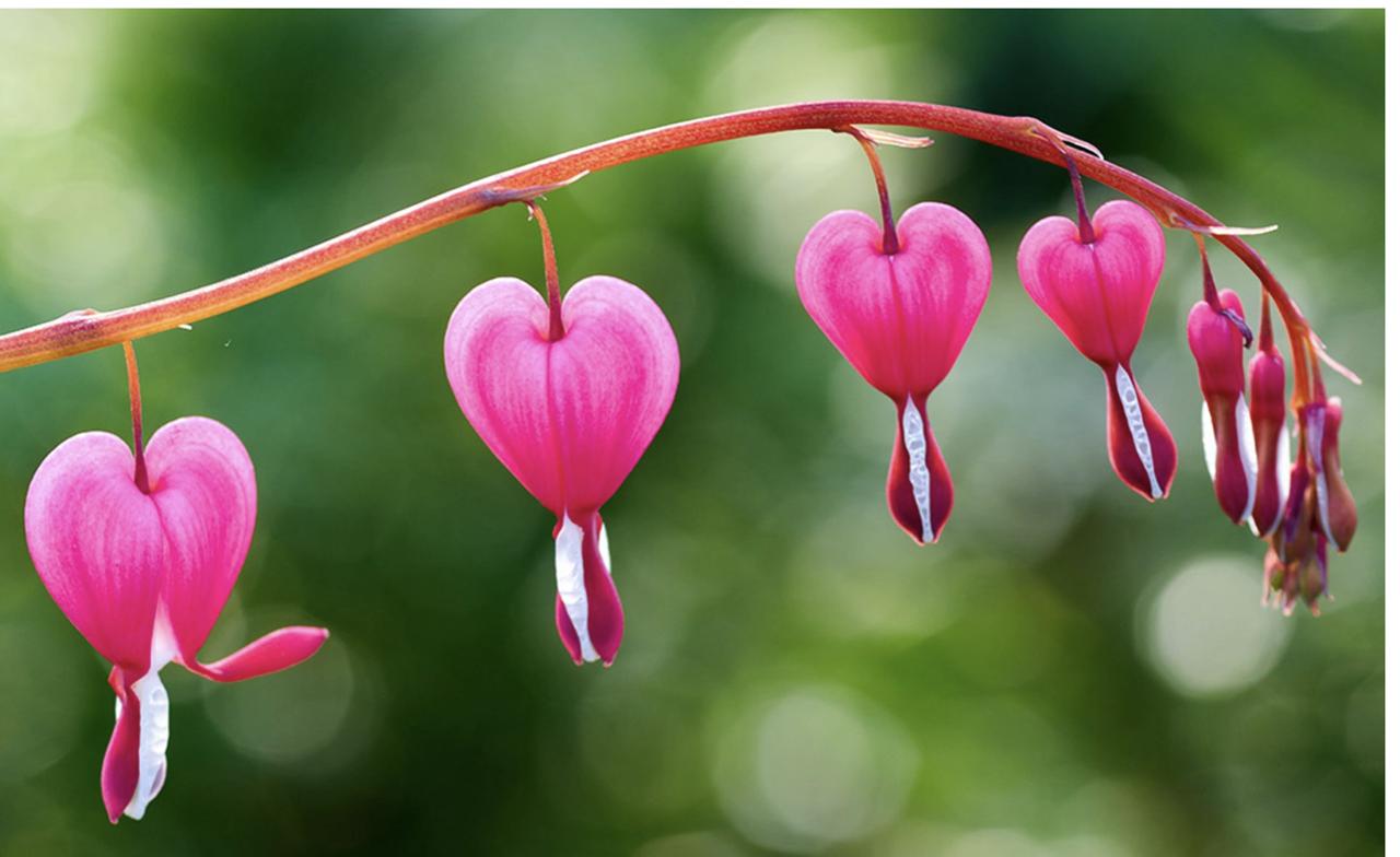 Profile photo 5 of 5