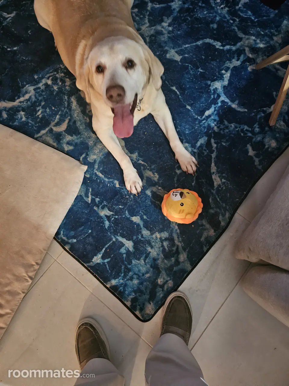 Profile photo 3 of 4