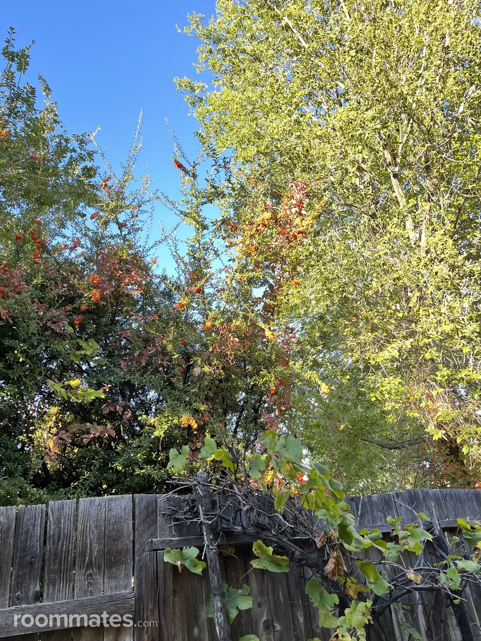 Profile photo 4 of 4