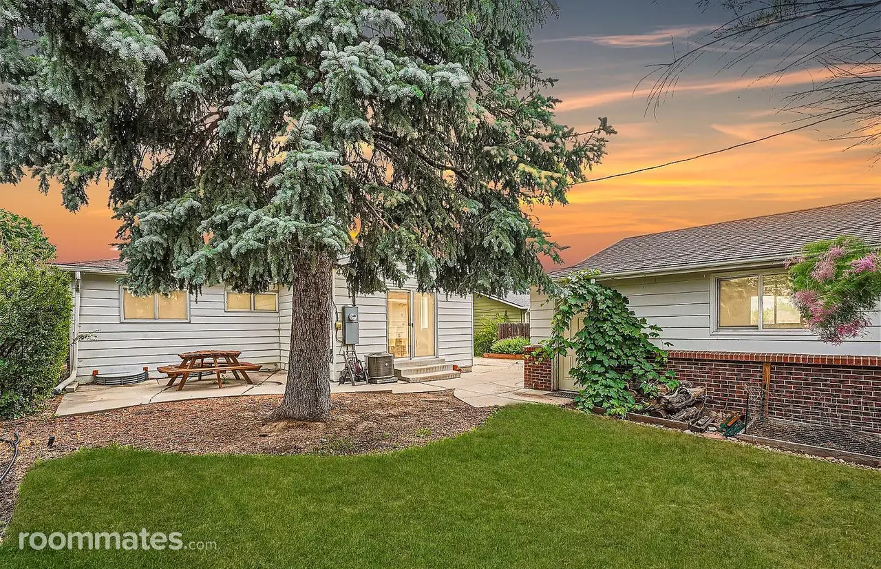 Profile photo 9 of 12