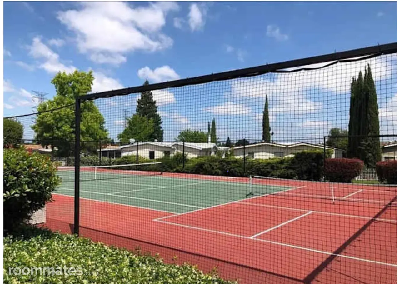 Profile photo 9 of 10