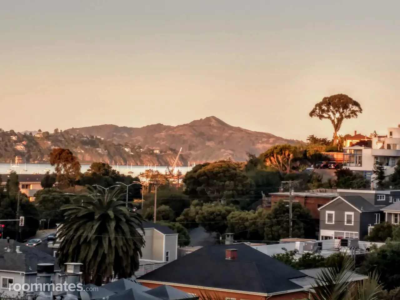 Profile photo 1 of 10