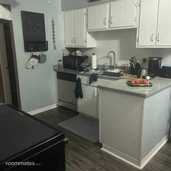 Room for rent in Brunswick, OH $800, condo
