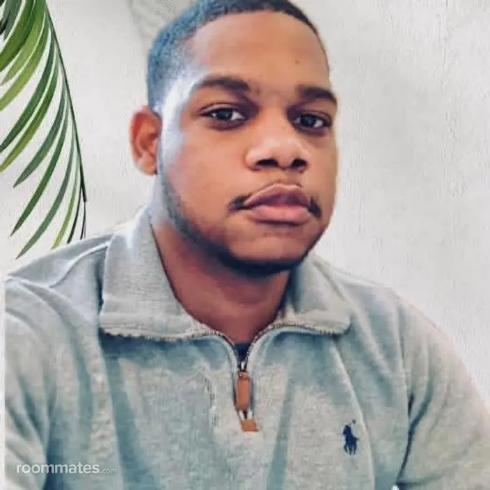 Roommate looking Pflugerville, TX, $800