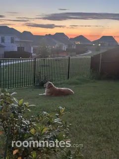 Room for rent in Forney, TX $800, house