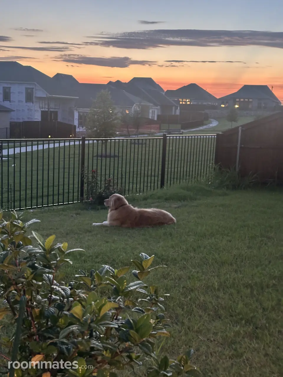 Profile photo 1 of 6