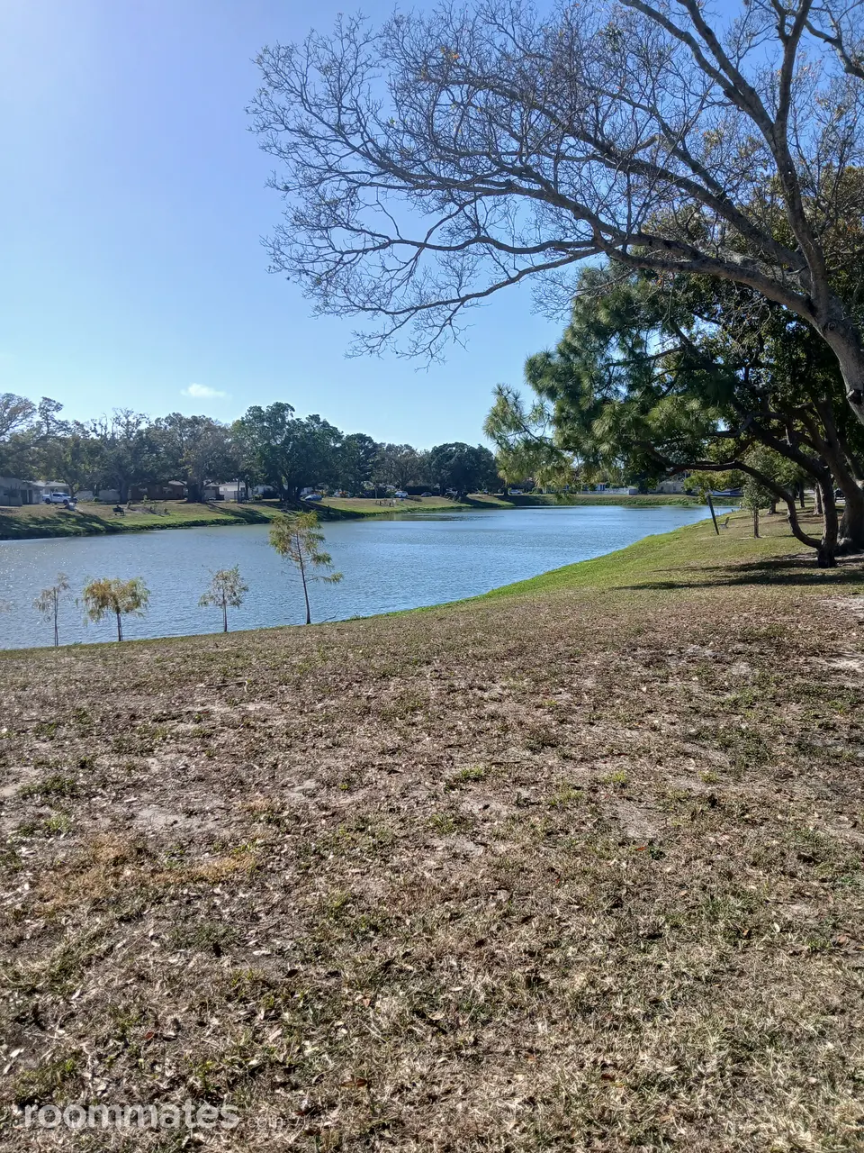 Profile photo 4 of 5