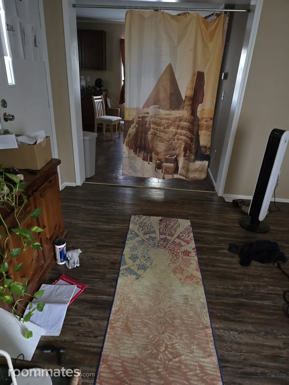 Profile photo 4 of 10