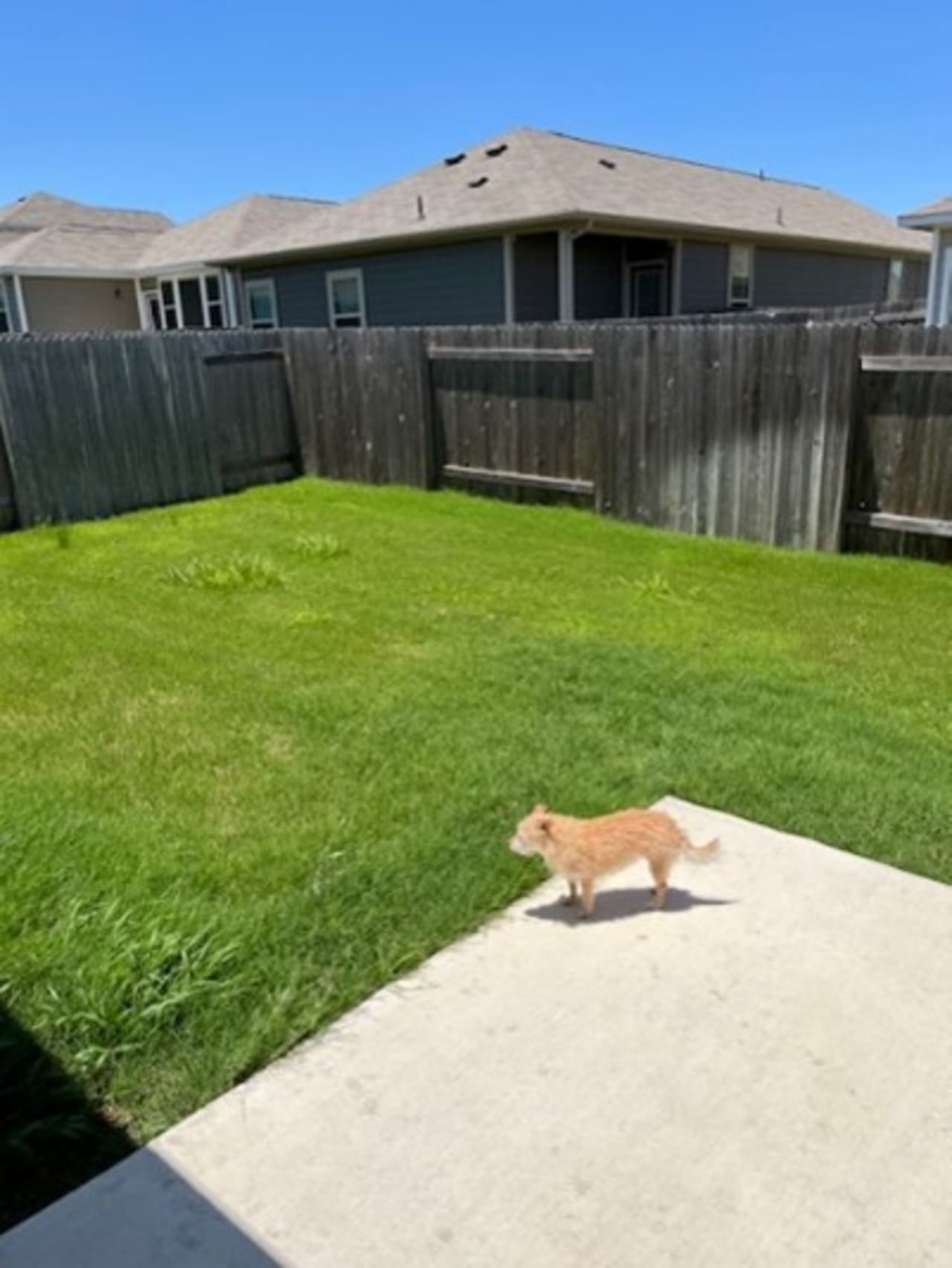 Profile photo 6 of 7