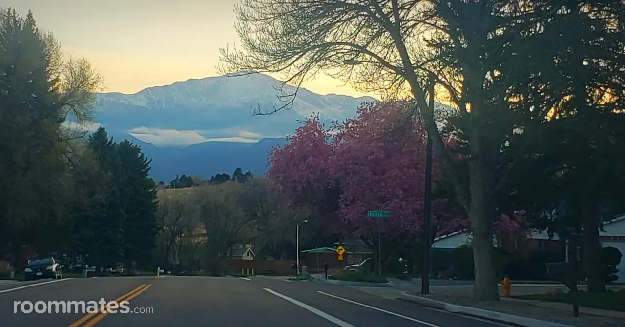 Profile photo 5 of 13