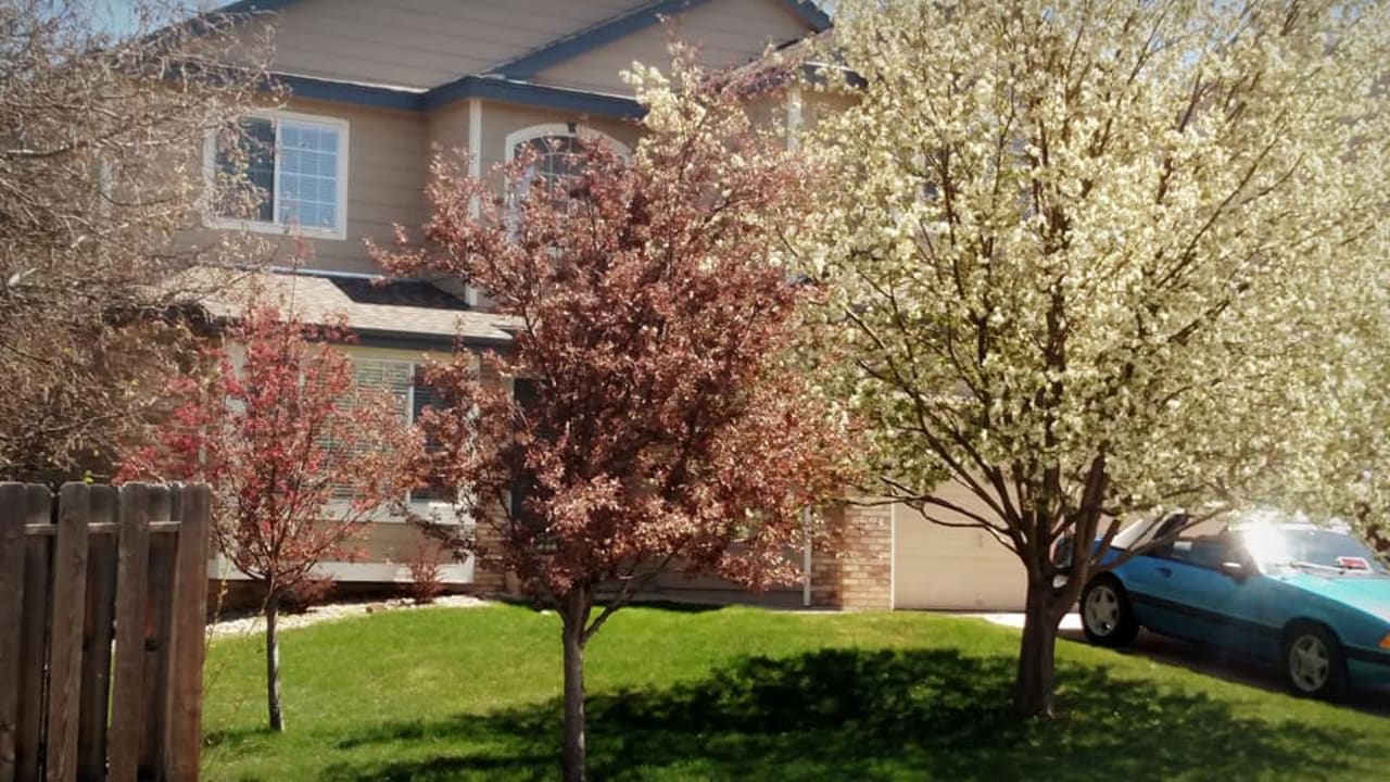 Profile photo 5 of 12