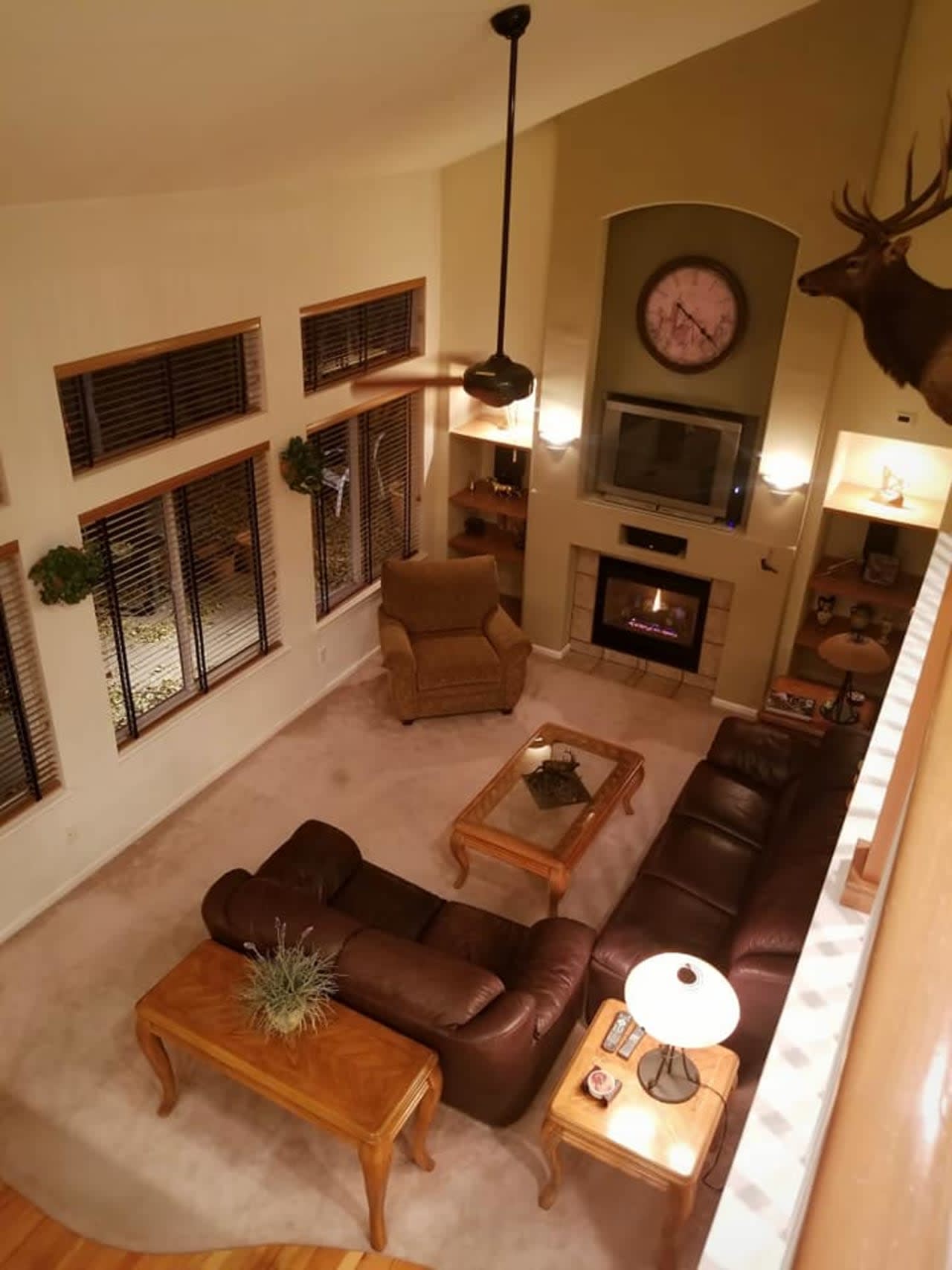 Profile photo 8 of 12