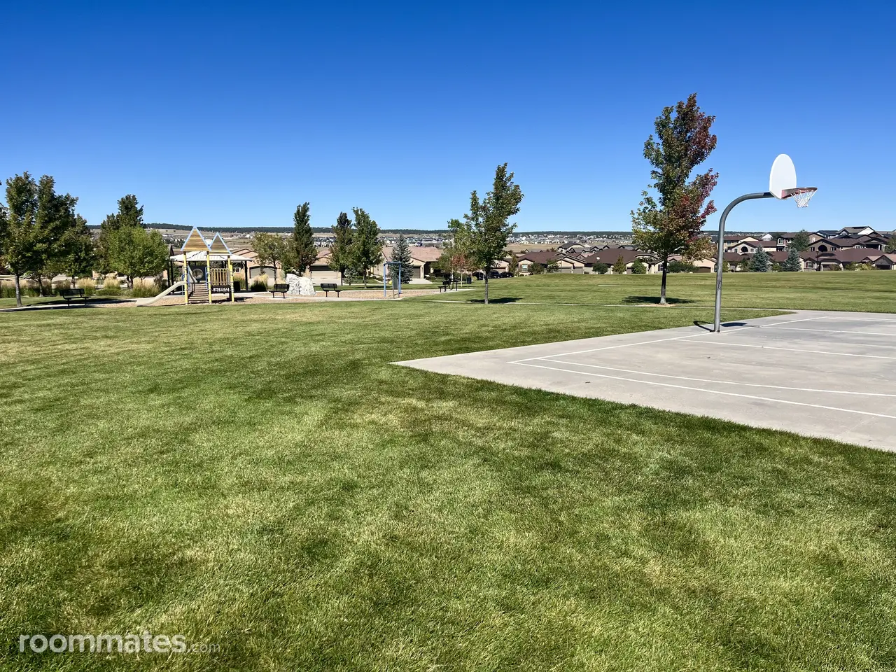 Profile photo 10 of 11