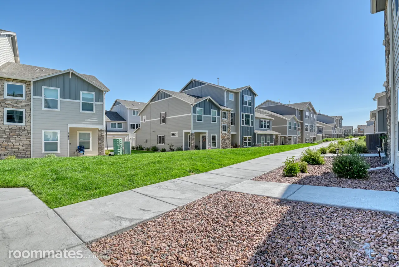 Profile photo 9 of 11