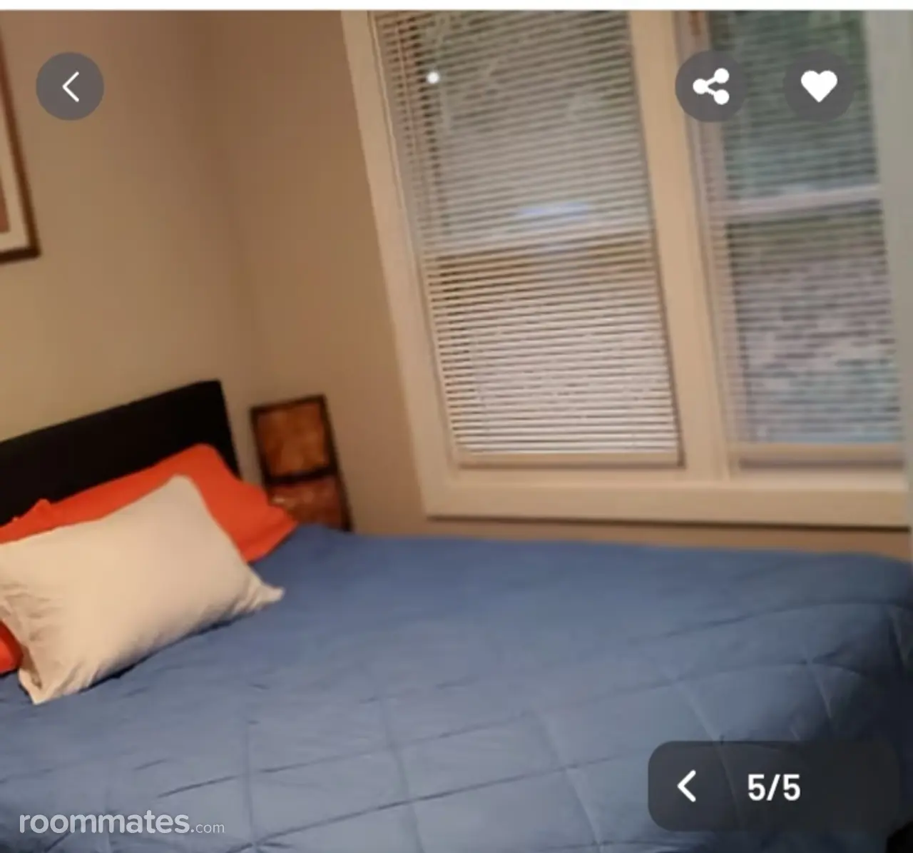 Profile photo 5 of 12