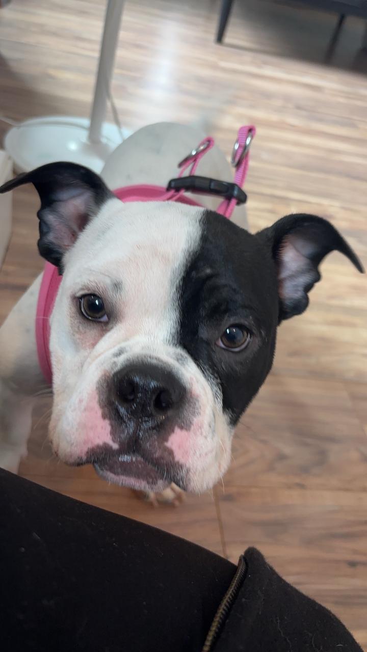 Profile photo 2 of 2