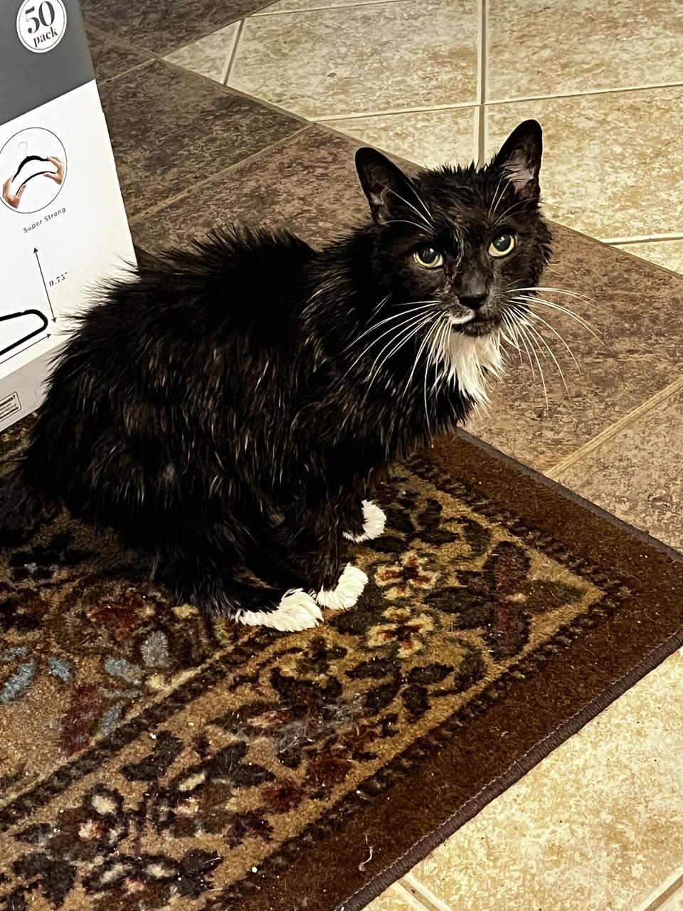 Profile photo 11 of 11