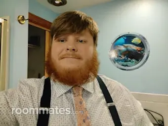 Roommate looking Boston, MA, $800