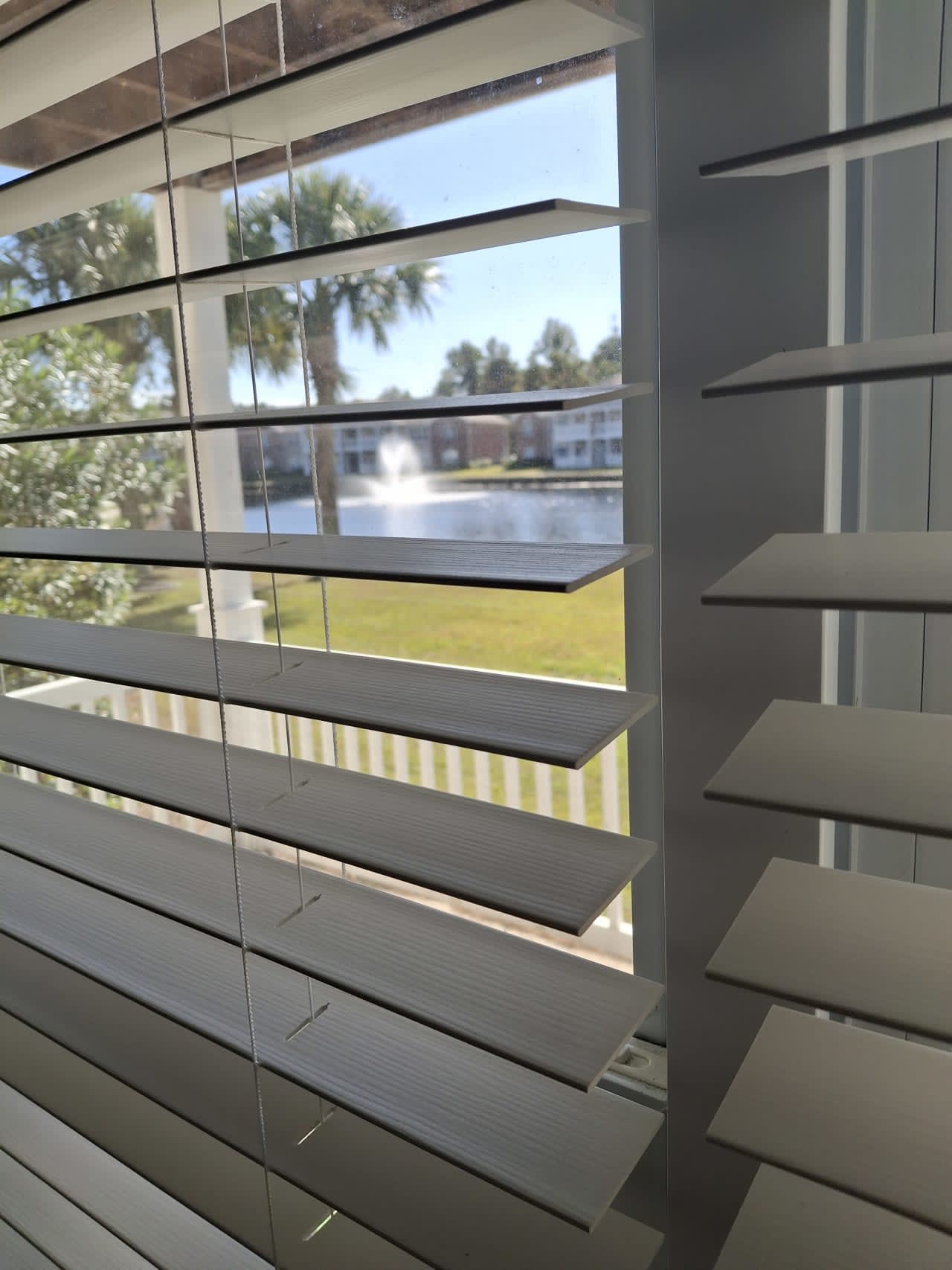 Profile photo 4 of 13