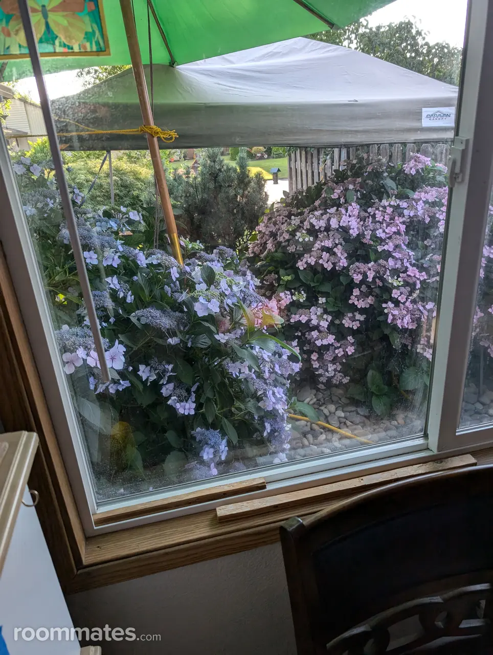 Profile photo 8 of 9