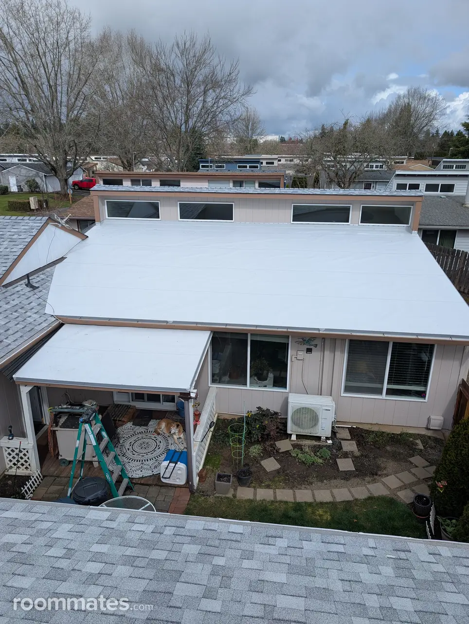 Profile photo 9 of 9