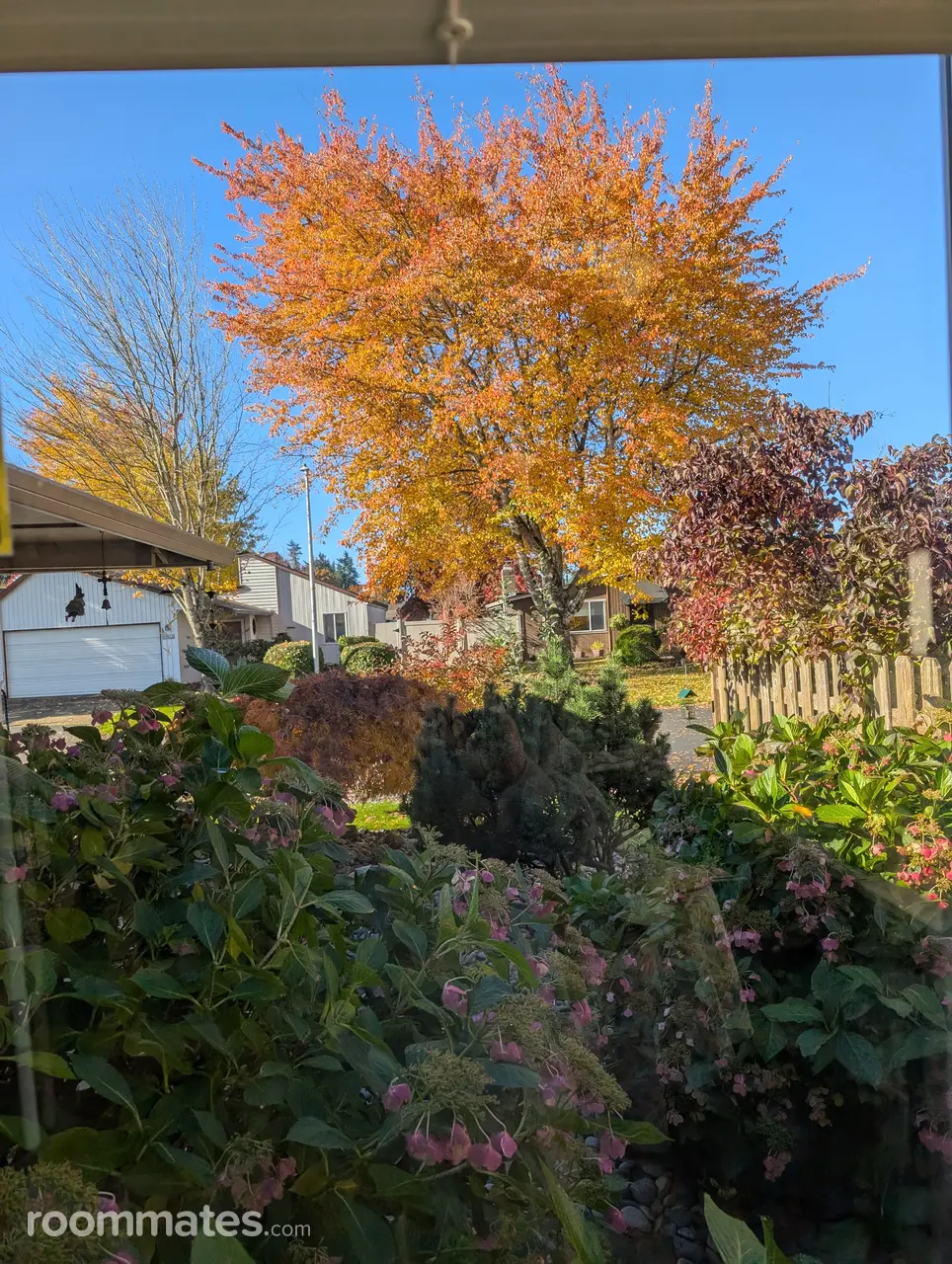 Profile photo 5 of 9