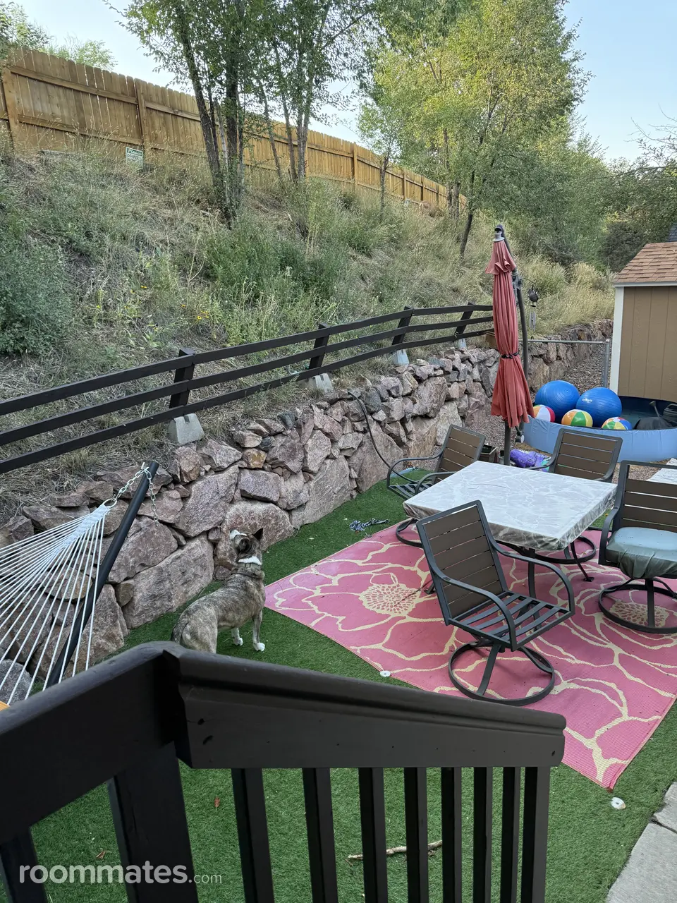 Profile photo 3 of 8