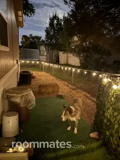 Room for rent in Colorado Springs, CO $900, house