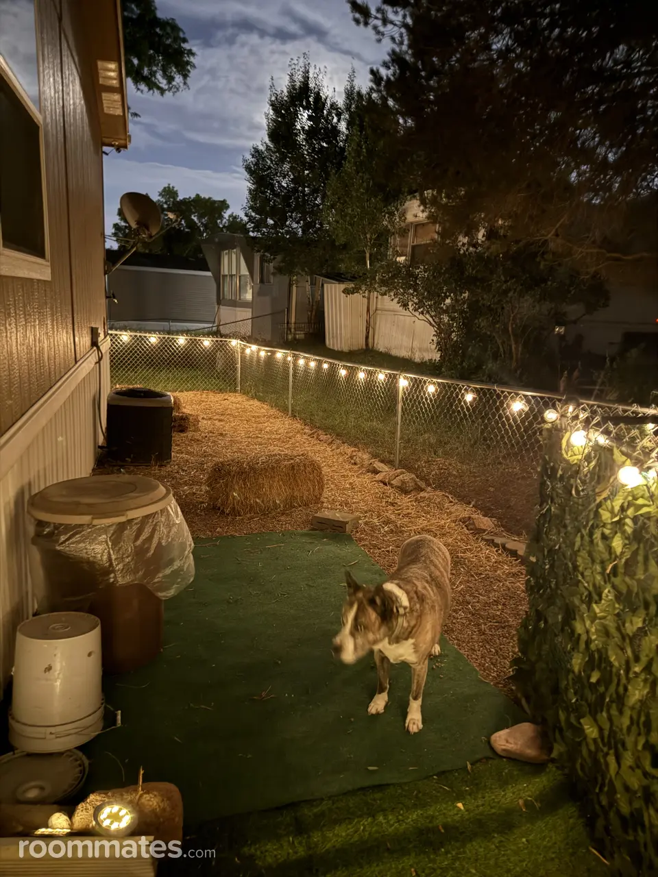 Profile photo 1 of 8