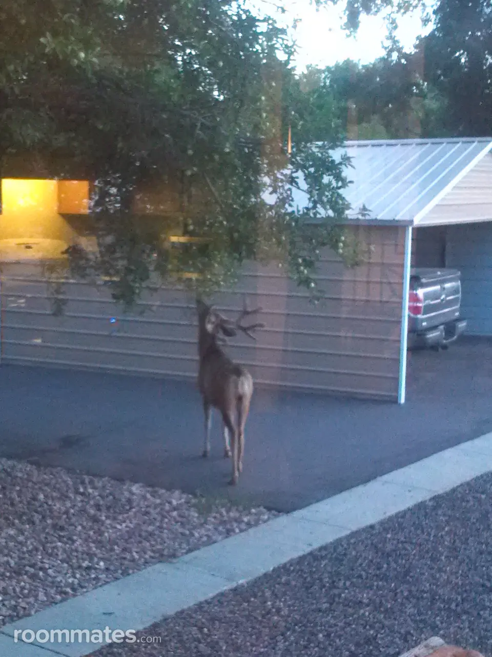 Profile photo 4 of 8