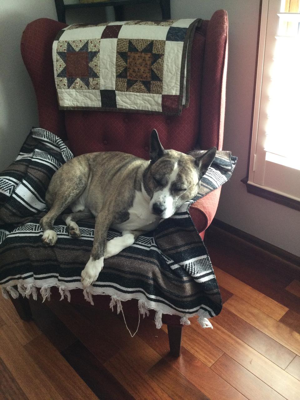 Profile photo 7 of 8