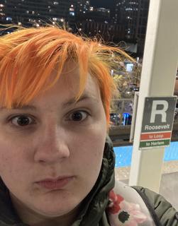 Roommate looking Highland Park, IL, $700