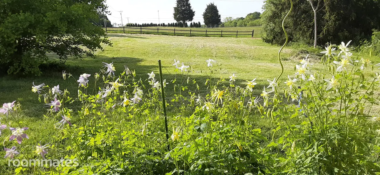 Profile photo 6 of 9