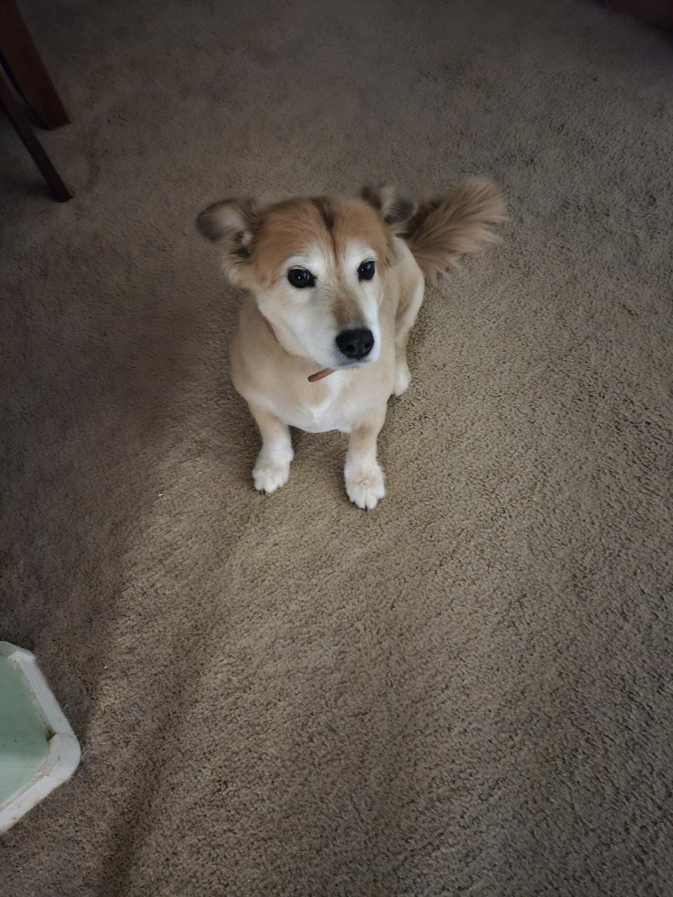 Profile photo 8 of 12