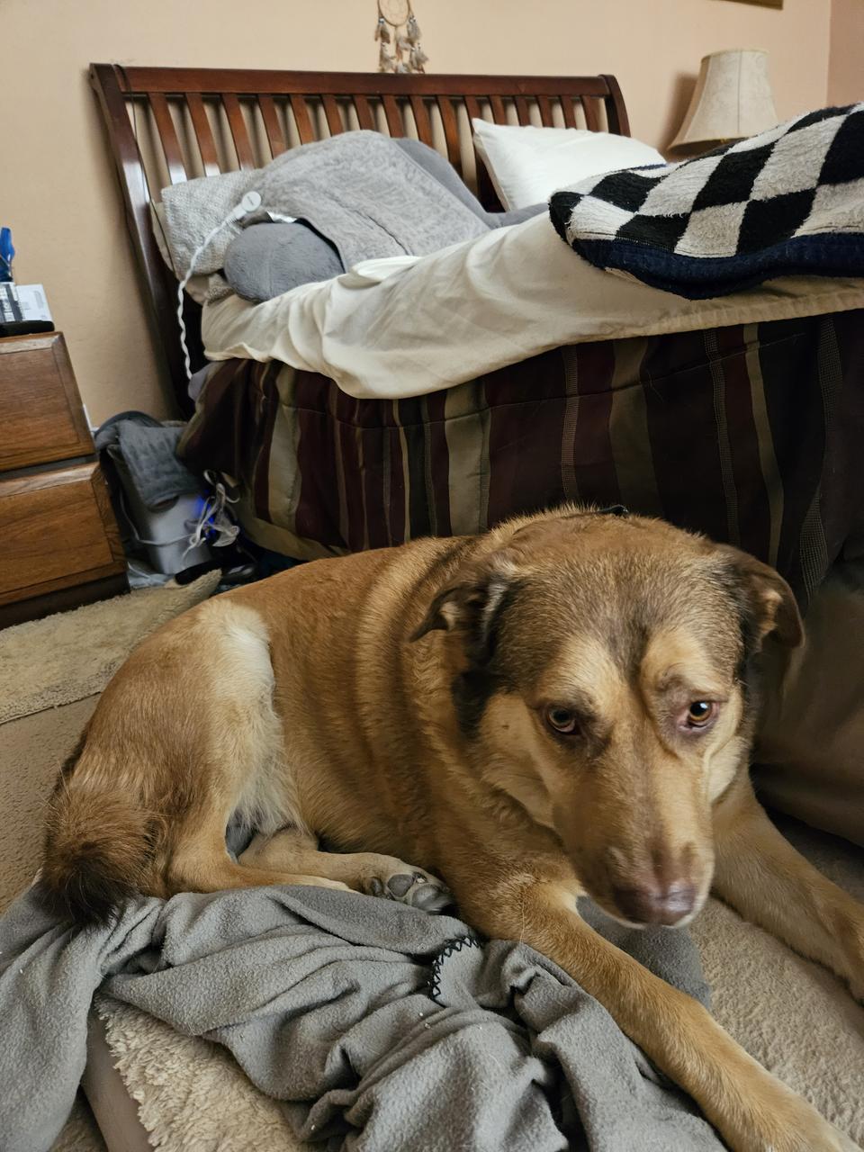 Profile photo 11 of 12