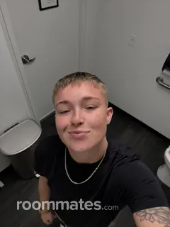 Roommate looking Grand Rapids MI, $1000