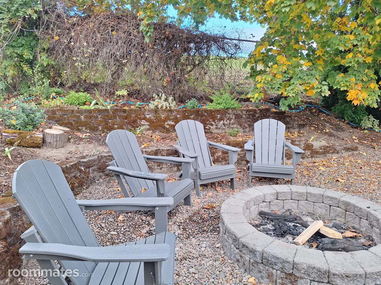 Profile photo 7 of 11