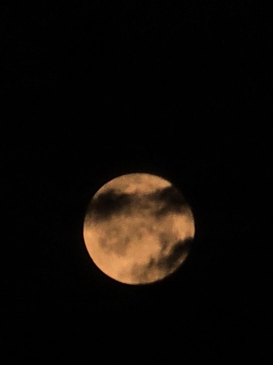 Profile photo 12 of 17