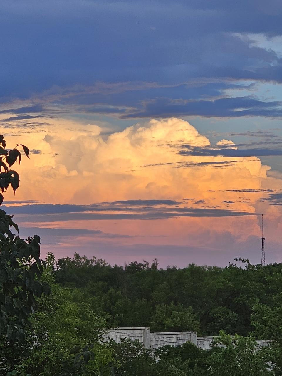 Profile photo 16 of 17