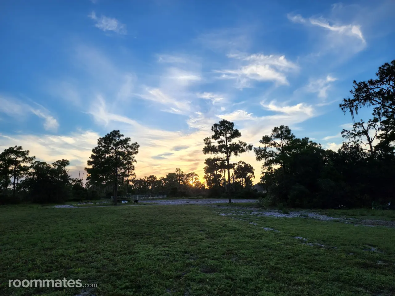 Profile photo 4 of 5