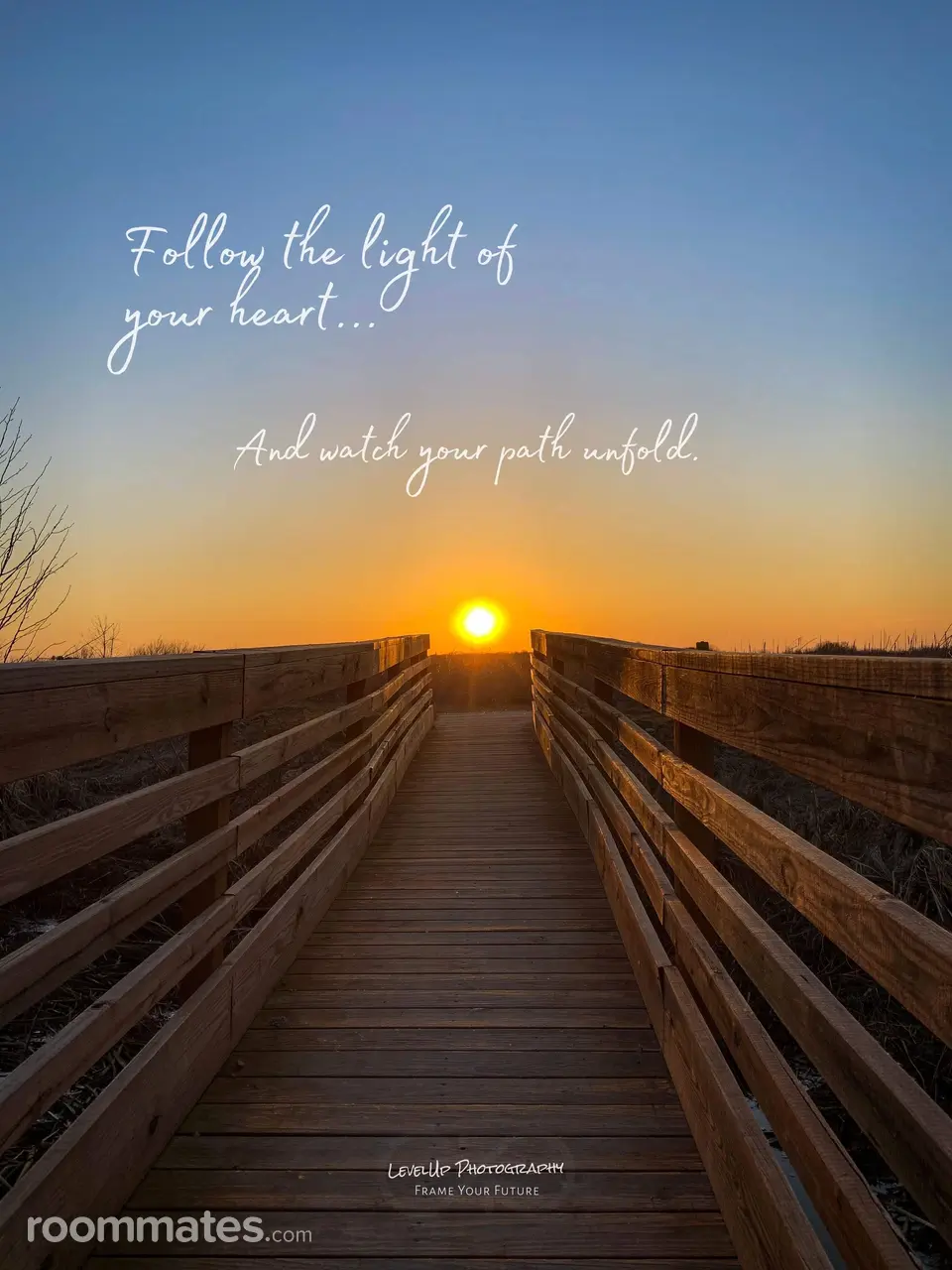 Profile photo 8 of 8