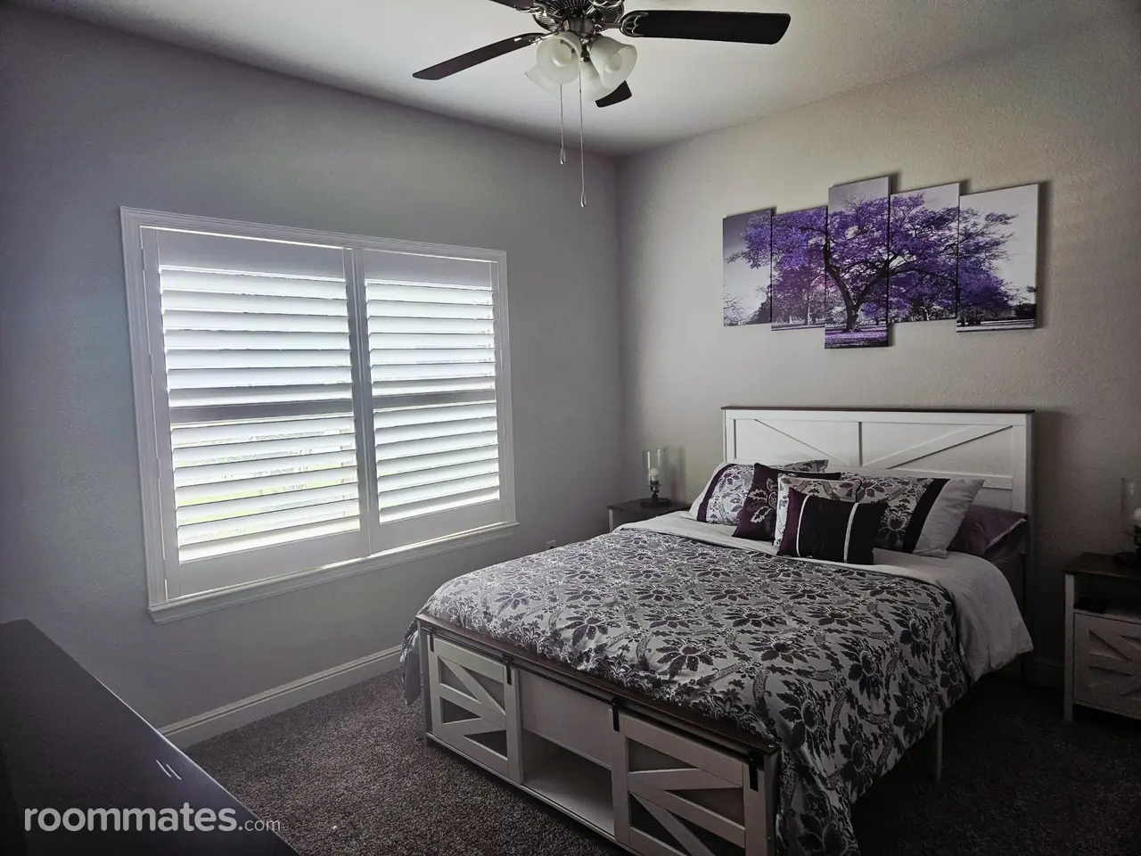 Profile photo 9 of 15