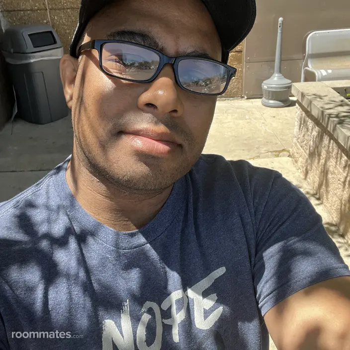 Roommate looking Round Lake, IL, $600