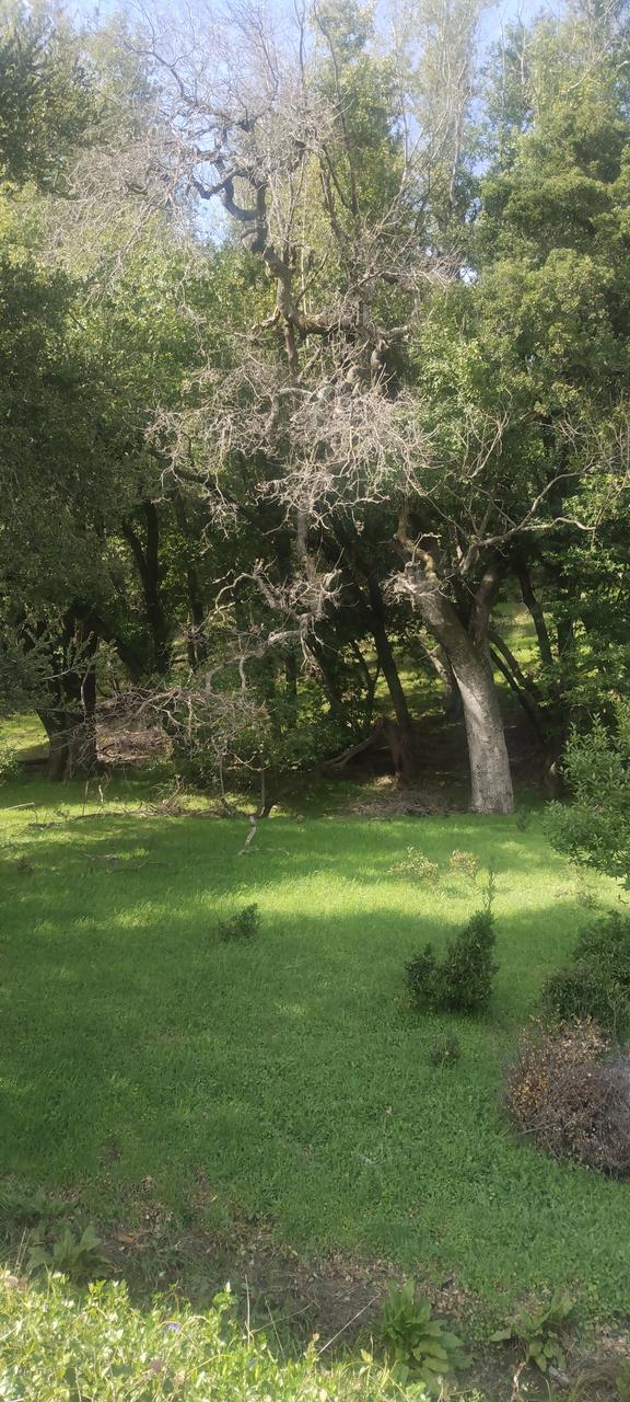 Profile photo 3 of 4