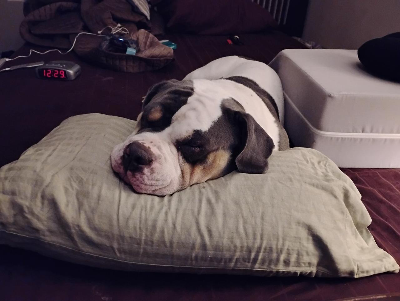 Profile photo 12 of 20